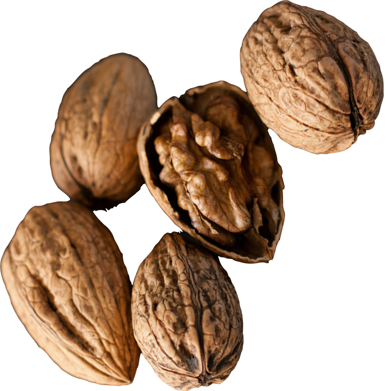 Горіхи волоські, першого товарного сорту, ДСТУ 8900, 1 кг